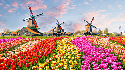 Holland
